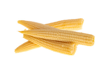 pickled corn cob isolated