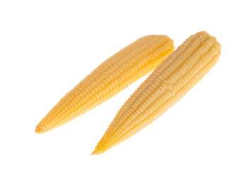 pickled corn cob isolated