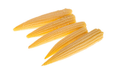 pickled corn cob isolated