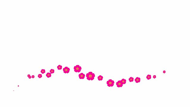 Animated magenta beautiful flowers fly from left to right. Looped video. Concept of spring. A wave of flying sakuras flowers on white background.
