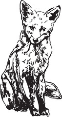 Hand sketch of a fox. Vector illustration.