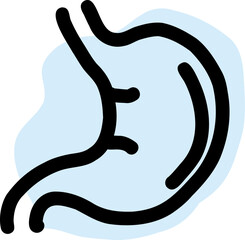 Human stomach anatomy.