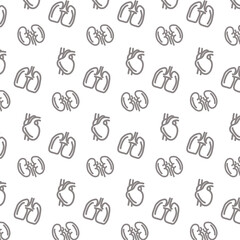 Medical background with human internal organs.