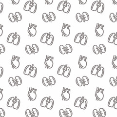 Medical background with human internal organs.