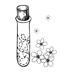 Cosmetic bottle with flowers. Perfume bottle. Fragrances, lotion, serum, essential oil, beauty product. Hand drawn line vector illustration
