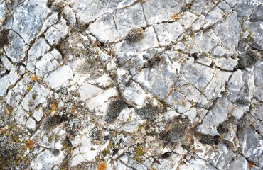Abstract Marble texture or background pattern with high resolution. 
