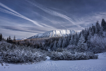 Winter landscape of snowy Tatry Mountains. Poland