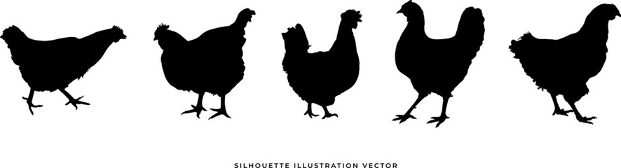 wild animals silhouettes vector illustration. Isolated animals