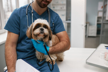 Cute yorkshire terrier held by young male veterinarian