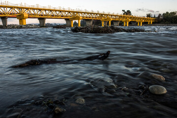 puente  tolten, puente  sur de  chile, novena region chile, bridge, río, acuático, mar, cielo,...