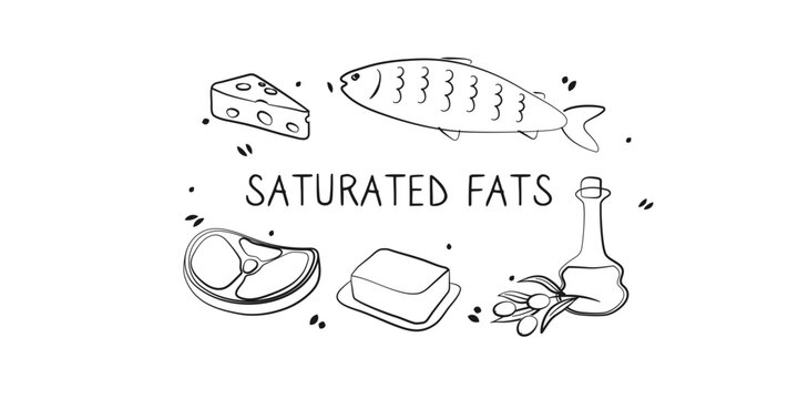 Saturated fatty acids-containing food. Groups of healthy products containing vitamins and minerals. Set of fruits, vegetables, meats, fish and dairy.