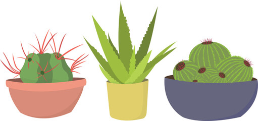 Cactus vector set. Exotic home plants design
