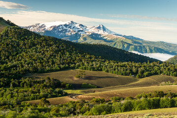 Obraz premium lonquimai, alta cordillera, cumbres, volcanes, paisaje, montagna, naturaleza, montagna, cielo, verano, verde, impresiones, césped, valle, bosque, panorama, viajando, nube, alpes, dehesa, árbol, cerro,
