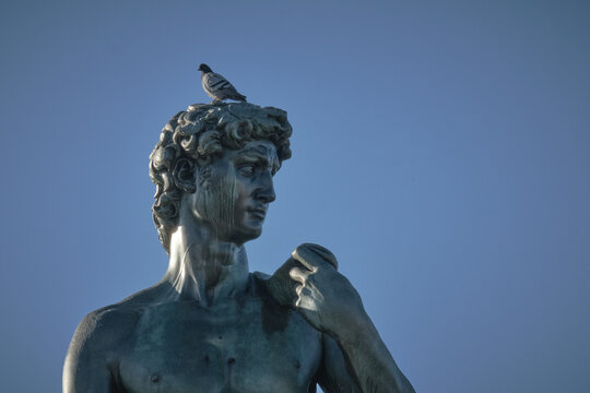 Michelangelo David statue with a pigeon in Michelangelo square in Florence Italy 