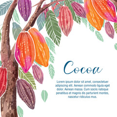 Cocoa beans banner template. Chocolate cacao beans background. Vector hand drawn illustration. Illustration in vintage style.