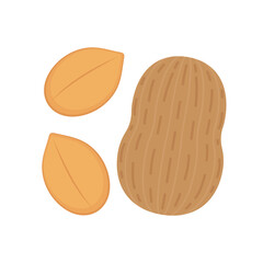 Peanut cartoon vector. Peanut on white background.