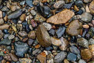 Pebbles on the shore