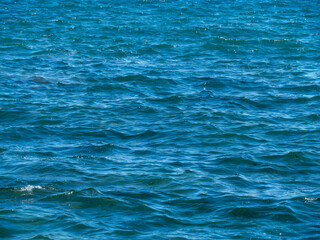 Obraz premium Beautiful water surface as a background. The texture of water. Blue body of water