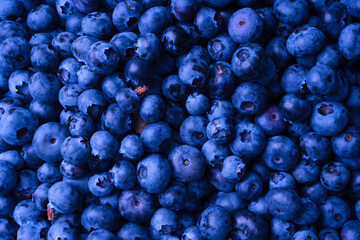 Fresh blueberry background. Texture blueberry berries close up.