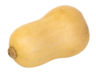 Courge butternut