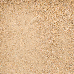 texture feed