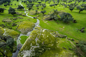 Aerial view of a stream in the Dehesa de la Luz. Extremadura. Spain.