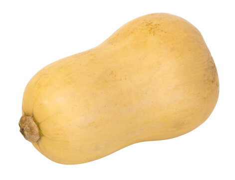 Courge butternut