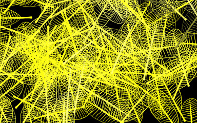 Dark Yellow vector doodle background with leaves.