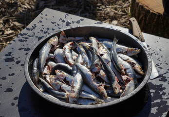 pile of sardines on top of a black table full of water drops
