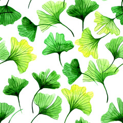watercolor seamless pattern with tropical ginkgo leaves on a white background. simple abstract print with green leaves
