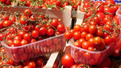 Foto op Plexiglas PUnnets of tomatoes on sale in a market in Palermo © Wildwatertv