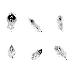 set of black Peacock Feather SVG Peacock Feather Bundle SVG