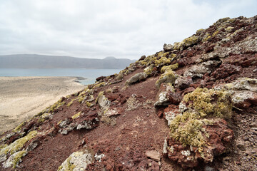 Fototapeta na wymiar Reddish rock colonized by lichens in Montaña Amarilla