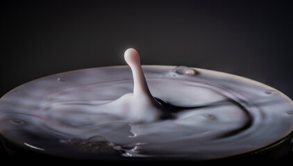 Color fresh milk drops into another color of milk in cup with dark background