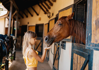 Portrait of teenage girl with horse in stable