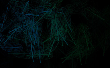 Dark Blue, Green vector elegant wallpaper with leaves.