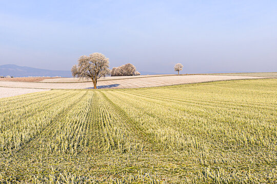 Winterlandschaft bei Eschborn in Hessen