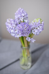 Blaue Hyazinthen in Blumenvase mit hellem Hintergrund, Blume Frühling, Blumenstrauß