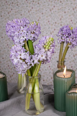 Hyazinthe in Blumenvase mit Kerzen, Blume Frühling