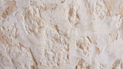 Wall Concrete Cement Wall Texture Plastering Pattern Background