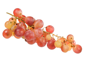 Grape