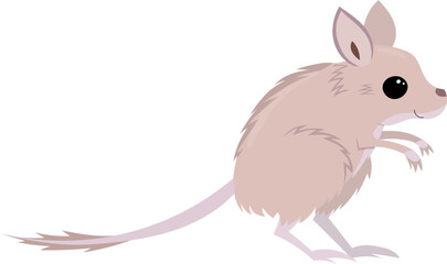 Tiny australian spinifex hopping mouse vector illustration for kids isolated on white background. Cartoon animal.
