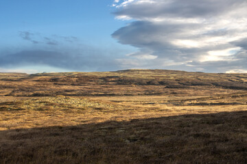 Fields and meadows, south-middle Iceland