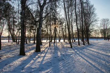 Winter landscape with the sun in contrast on a cold day, fields and forests. Winter,