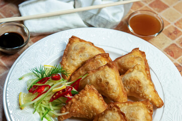 Fried dumplings. Wontons.