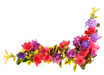 Foto op Plexiglas Border of colorful Spring leaves and flowers © Jo Ann Snover