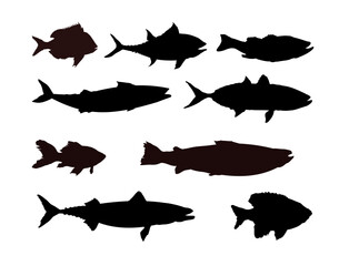 silhouette of a fish