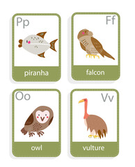 card with  predators birds  piranha, falcon, owl, vulture, vector set 