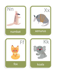 card with australian animals xenurus, numbat, fox, koala, vector set