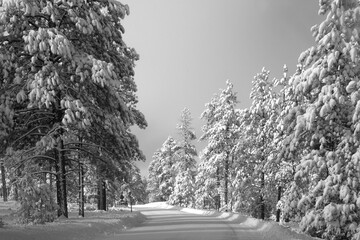 Bryce Canyon NP Winter